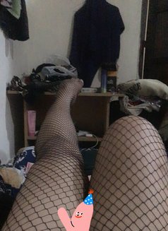 Ameera - Transsexual escort in Doha Photo 4 of 4