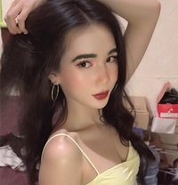 Amelia Arummie - Acompañantes transexual in Jakarta