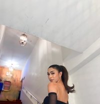 Arab-Filipina AmeliaTS - Transsexual escort in Manila