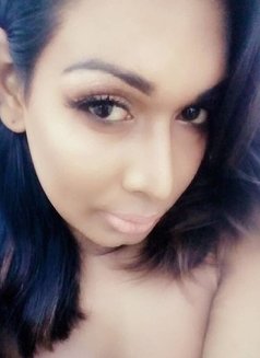 GODDESS AMELIA( Best cam session ) - Transsexual escort in Colombo Photo 11 of 28