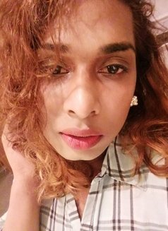 GODDESS AMELIA( Best cam session ) - Transsexual escort in Colombo Photo 14 of 28