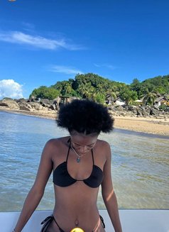 Amelia - escort in Phuket Photo 7 of 7