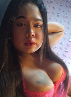 Amelia Ts - Transsexual escort in El Nido Photo 1 of 4