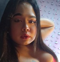 Amelia Ts - Transsexual escort in El Nido