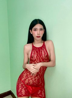 Amena/ladyboy - Transsexual escort in Bangkok Photo 3 of 6