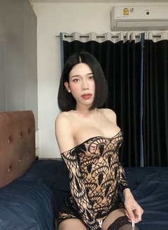 Amena/ladyboy - Acompañantes transexual in Bangkok Photo 6 of 7