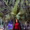 Amera - escort in Muscat Photo 3 of 10