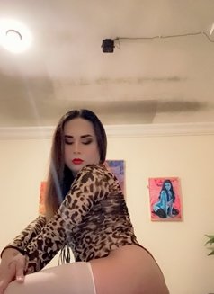 Amera - Transsexual escort in Jeddah Photo 5 of 6