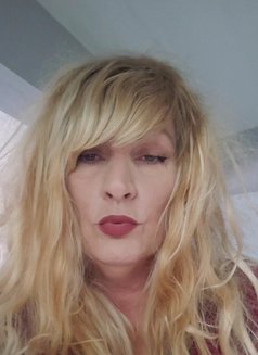 American MILF Dominatrix Ms. Devilyn - dominatrix in Bangkok Photo 25 of 28