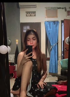Ami - Acompañantes transexual in Bali Photo 4 of 5