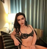 Amika in dubai - Transsexual escort in Dubai