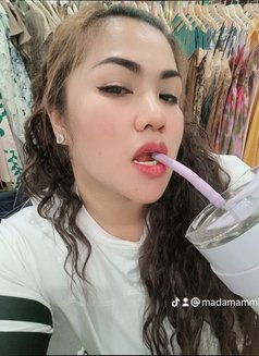 Amika - escort in Ko Samui Photo 12 of 16