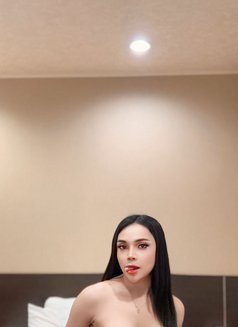 Amily New Ladyboy Thailand - Acompañantes transexual in Kaohsiung Photo 27 of 30