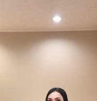 Amily New Ladyboy Thailand - Transsexual escort in Kaohsiung