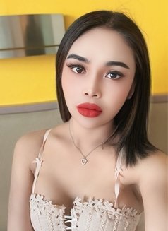 Amily New Ladyboy Thailand - Acompañantes transexual in Kuala Lumpur Photo 3 of 9