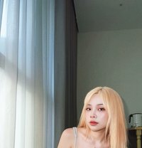 Amily New Ladyboy Thailand - Transsexual escort in Tainan