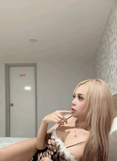 Amily New Ladyboy Thailand - Transsexual escort in Tainan Photo 18 of 25