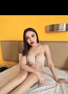 Amily New Ladyboy Thailand - Transsexual escort in Kaohsiung Photo 3 of 6