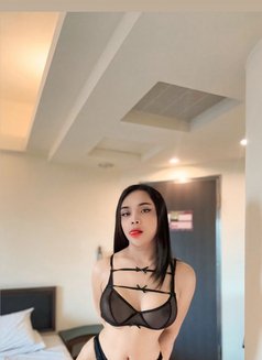 Amily New Ladyboy Thailand - Transsexual escort in Taipei Photo 27 of 30