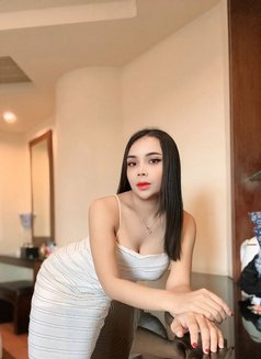 Amily New Ladyboy Thailand - Transsexual escort in Taipei Photo 29 of 30