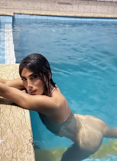Amina - Transsexual escort in İstanbul Photo 3 of 7