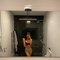 Amina - Transsexual escort in İstanbul Photo 3 of 16