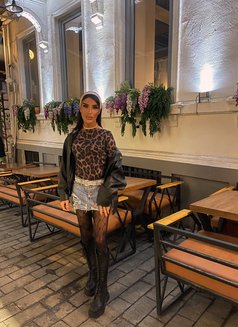 Amina - Acompañantes transexual in İstanbul Photo 15 of 16