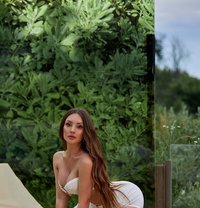 Amina - escort in Dubai