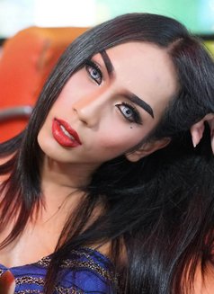 Amina - Acompañantes transexual in Pattaya Photo 3 of 3