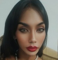 Amina - Transsexual escort in Pattaya