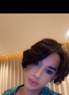 Amir - escort in Casablanca Photo 1 of 1