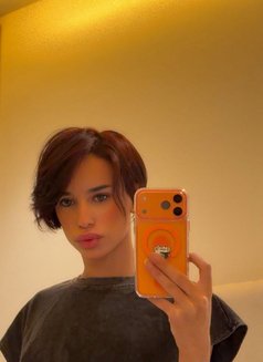 Amir - Transsexual escort in Casablanca Photo 1 of 3