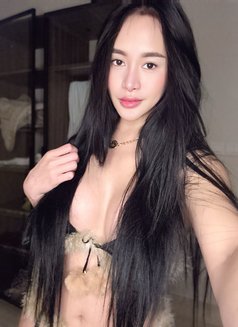 Amira 2.0 π΅π - escort in Dubai Photo 1 of 6