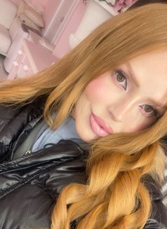 Amira-GFE EXPERIENCE🇧🇷 - puta in Dubai Photo 13 of 24