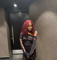 Amira - escort in Doha