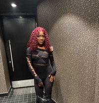 Amira - escort in Doha