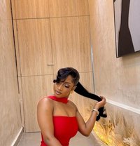 Amira Lux - escort in Doha