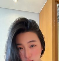 Amira - escort in Sharjah