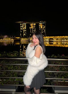 Amira bbygirl - escort in Kuala Lumpur Photo 11 of 12