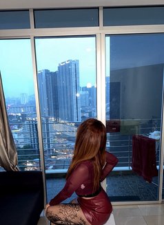 Amira - escort in Kuala Lumpur Photo 2 of 8