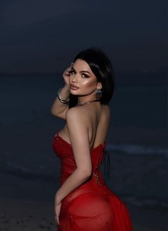 Amira19y, Iranian Beauty - puta in Dubai Photo 12 of 16