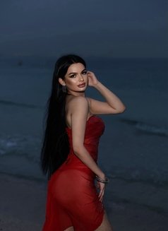 Amira19y, Iranian Beauty - puta in Dubai Photo 13 of 16