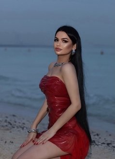 Amira19y, Iranian Beauty - puta in Dubai Photo 15 of 16