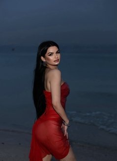 Amira19y, Iranian Beauty - escort in Dubai Photo 16 of 16