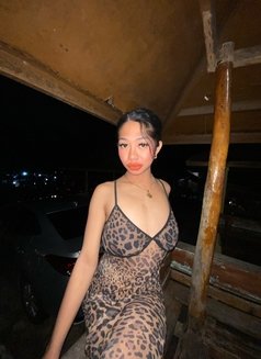 Amiraa Bigdick /Cumshow/private Channel - Acompañantes transexual in Manila Photo 1 of 6