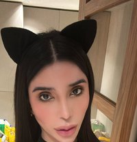 AMIRAH JAMILA (AssDestroyer) T&B - Acompañantes transexual in Phuket
