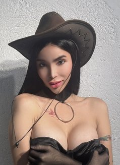 AMIRAH JAMILA (AssDestroyer) T&B - Acompañantes transexual in Bangkok Photo 4 of 30