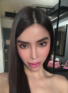 AMIRAH JAMILA (AssDestroyer) T&B - Transsexual escort in Phuket Photo 29 of 30