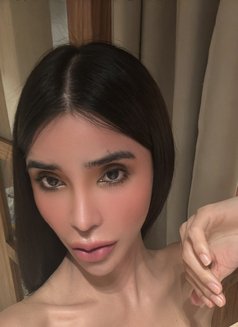 AMIRAH JAMILA (AssDestroyer) T&B - Acompañantes transexual in Bangkok Photo 2 of 27