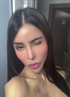 AMIRAH JAMILA (AssDestroyer) T&B - Acompañantes transexual in Bangkok Photo 27 of 27